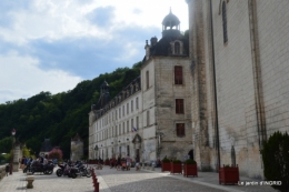 orage,puces,bouquet,Anniv.Ines,Brantome,Jardins d'eau 165.JPG