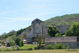 gastéropodes,les cygnes,marché,l'Abbaye Nouvelle,jerdin 119.JPG