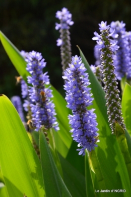 les jardins d'eau de Carsac 055.JPG