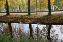 canal automne ,jardin,Ines 114.jpg