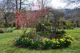 jardin printemps 016.JPG