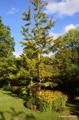 jardin,coeur des fleurs,potager, 094.JPG