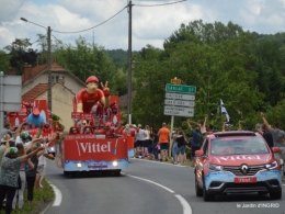 tour de France,jardinde Mme Peyrichou 120.JPG