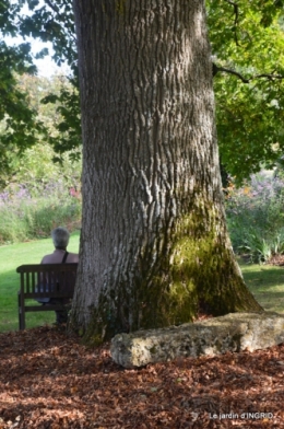 La Romieu,Coursiana,chez Renée,Ginkgo biloba 133.jpg