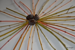 matin d'hiver,tableaux de fleurs janvier 078.JPG