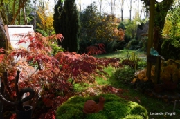 automne,arbres,inondation 140.JPG