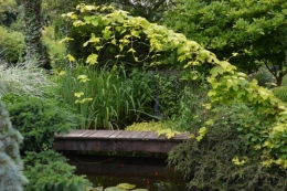 tour du jardin en juin 145.JPG