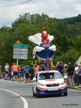 tour de France,jardinde Mme Peyrichou 060.JPG