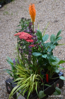 chez Willy,jardin 137.JPG