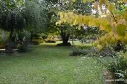 panier,composition,St Astier,jardin,lavande 084.JPG