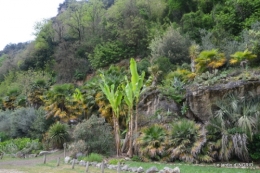 la Roque Gageac,Ines,jardin 091.JPG