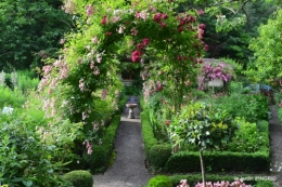 potager,chenille,pour le 18 juin,tour du jardin 083.JPG