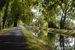 parapente,potager,kois,Lalinde,pastel,canal,choux,ipomée, 219.JPG