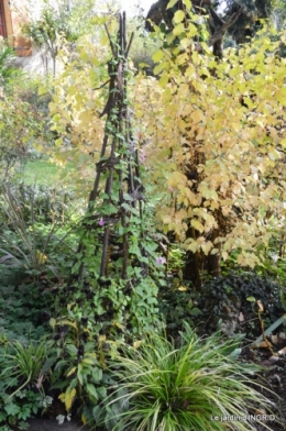 citrouille fleurie,décos jardin,automne 079.JPG