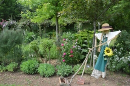 tour du jardin en juin 129.JPG