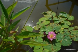 les jardins d'eau de Carsac 123.JPG