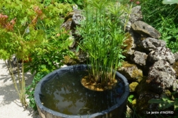 inondation,jardin,oeufs cygnes,chez Nathalie 067.JPG