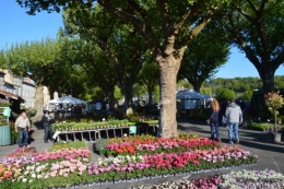 coquelicots,fête des fleurs Lalinde,fouleix,jardinage 055.JPG