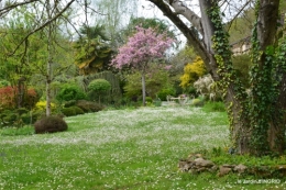 jardin printemps 105.JPG