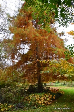 les arbres en automne,cabane 032.JPG