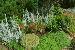 portes ouvertes,taille marguerittes,jardin 044.JPG