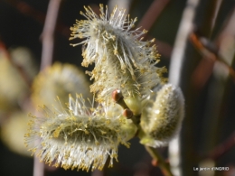 Romane,arbre de Paques,chez Bernadette,jardin 047.JPG