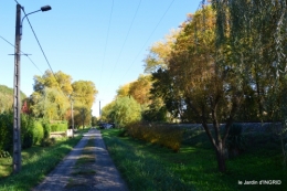 jardin automne,voisinage,canal 158.JPG