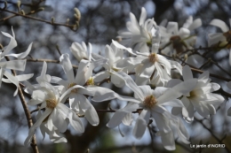 Romane,arbre de Paques,chez Bernadette,jardin 022.JPG