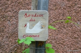 sentier des cygnes,hémérocalles,bouquet,jardin 126.JPG