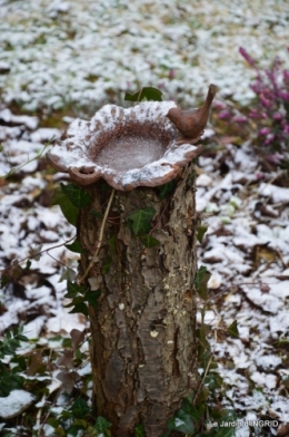 oiseaux première neige 045.JPG