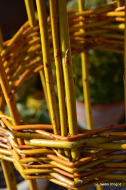 Cours d'osier,première fleur 022.JPG