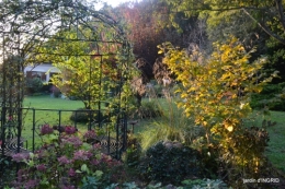 Jardin à l'automne 147.JPG