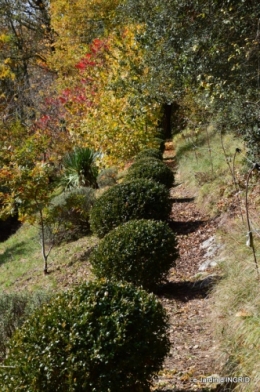 les arbres en automne,cabane 094.JPG