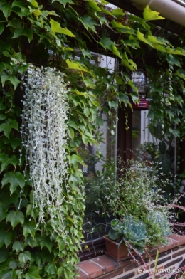 les filles,piscine,jardin,tipi 070.JPG