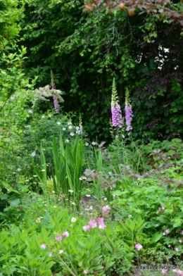 maison,jardin Bernadette,et jardin Claudine 128.JPG