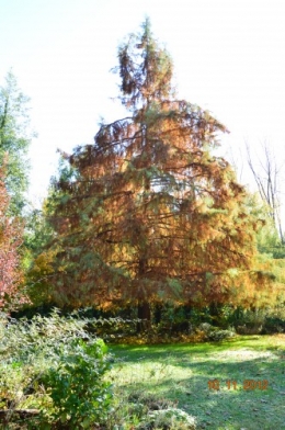 automne