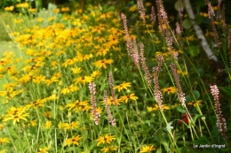 aout jardin 056.JPG