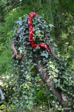 hémérocalles,les filles,les cygnes,la passerelle,moi,jardin 119.JPG