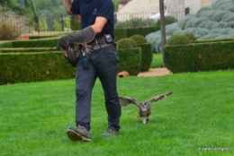 les Milandes,Mompazier,jardin 233.JPG