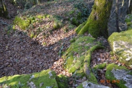 jardiland,déco noel,colline,pt houx 116.JPG