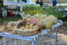 Issigeac,citrouilles ,rhus,automne,jardin 022.JPG