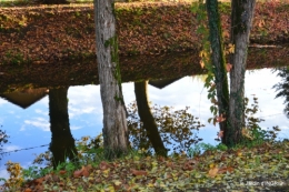 jardin automne,voisinage,canal 064-001.JPG
