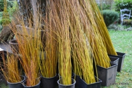 l'osier,stuctures,fleurettes printemps 027.JPG