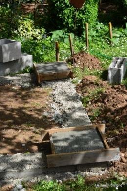 pavots,cours d'osier;dans la mare 033.JPG