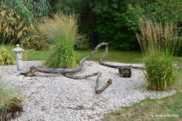 canal,au fond de l'Or,Julie,feuilles 094.JPG