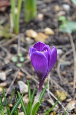 mon coeur,jardin,timbres, 030.JPG