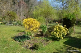 araignée,vues jardin,cygnes,insecte 053.JPG