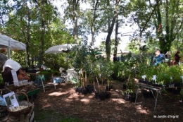 mariage,jardin,la Brande,figues 094.JPG