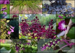 2015-09-20 insectes,fleurs,land art,Couze,chateau de Banes,Lalinde,Monsac12.jpg