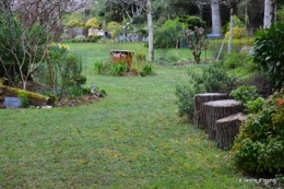 jardin printemps 102.JPG